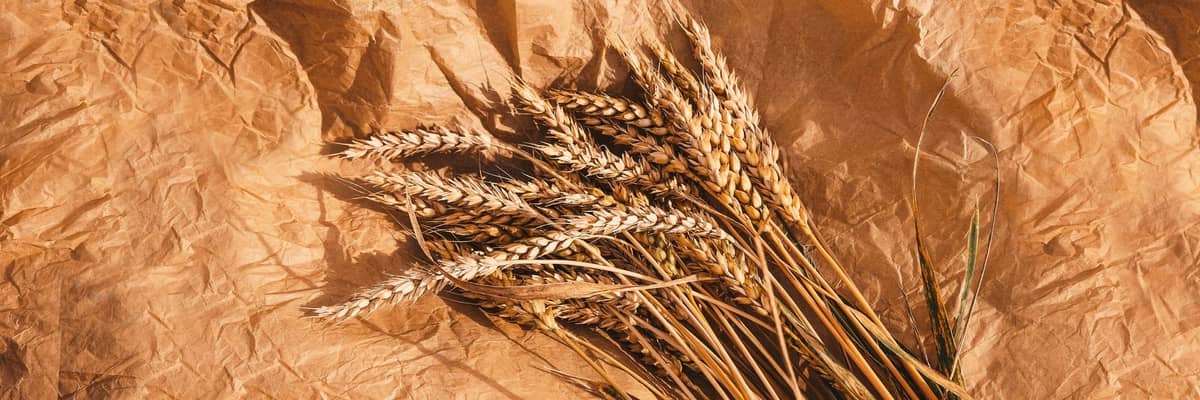 Wheat